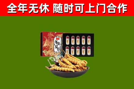 丰满回收冬虫夏草价格
