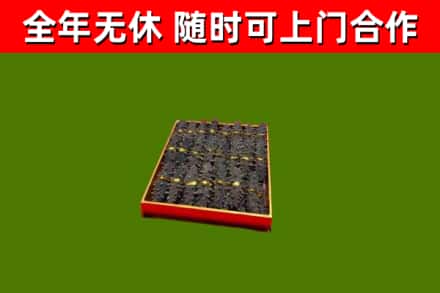 丰满烟酒回收海参.jpg